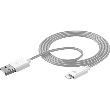 Câble chargeur USB Lightning (Apple)