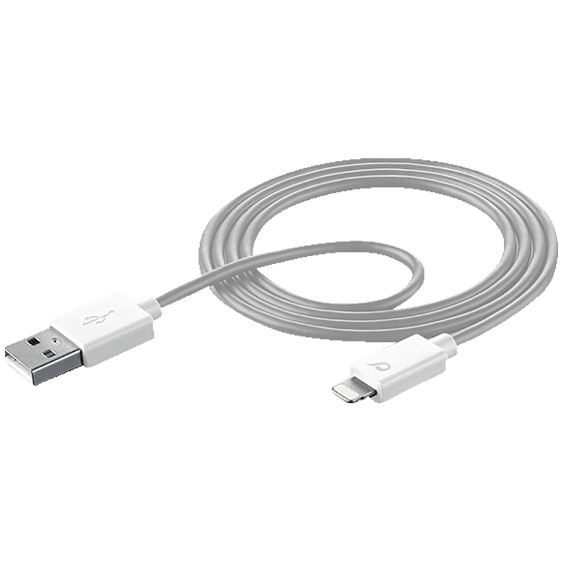 Câble chargeur USB Lightning (Apple)