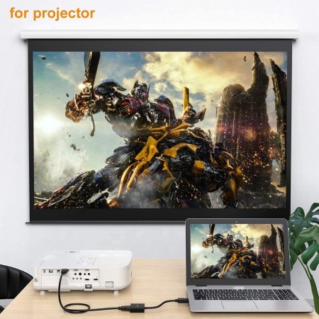 Adaptateur Displayport vers VGA (Jusqu'à 4K)