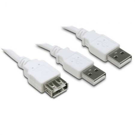 Adaptateur USB 2.0 en Y Type A/A