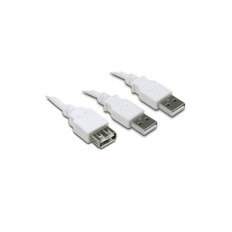 Adaptateur USB 2.0 en Y Type A/A